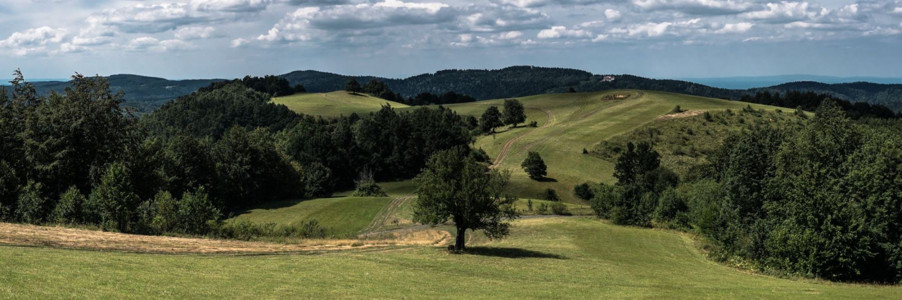 Read more about the article Um erfolgreich zu sein müssen wir unsere Ängste stellen