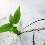 ERKENNE DEINE UNSICHERHEITEN UND LERNE, MIT DER ANGST NACH EINEM TRAUMA UMZUGEHEN