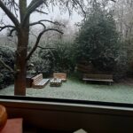 Ein Blick aus dem Fenster