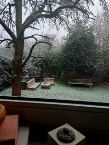 Read more about the article Ein Blick aus dem Fenster