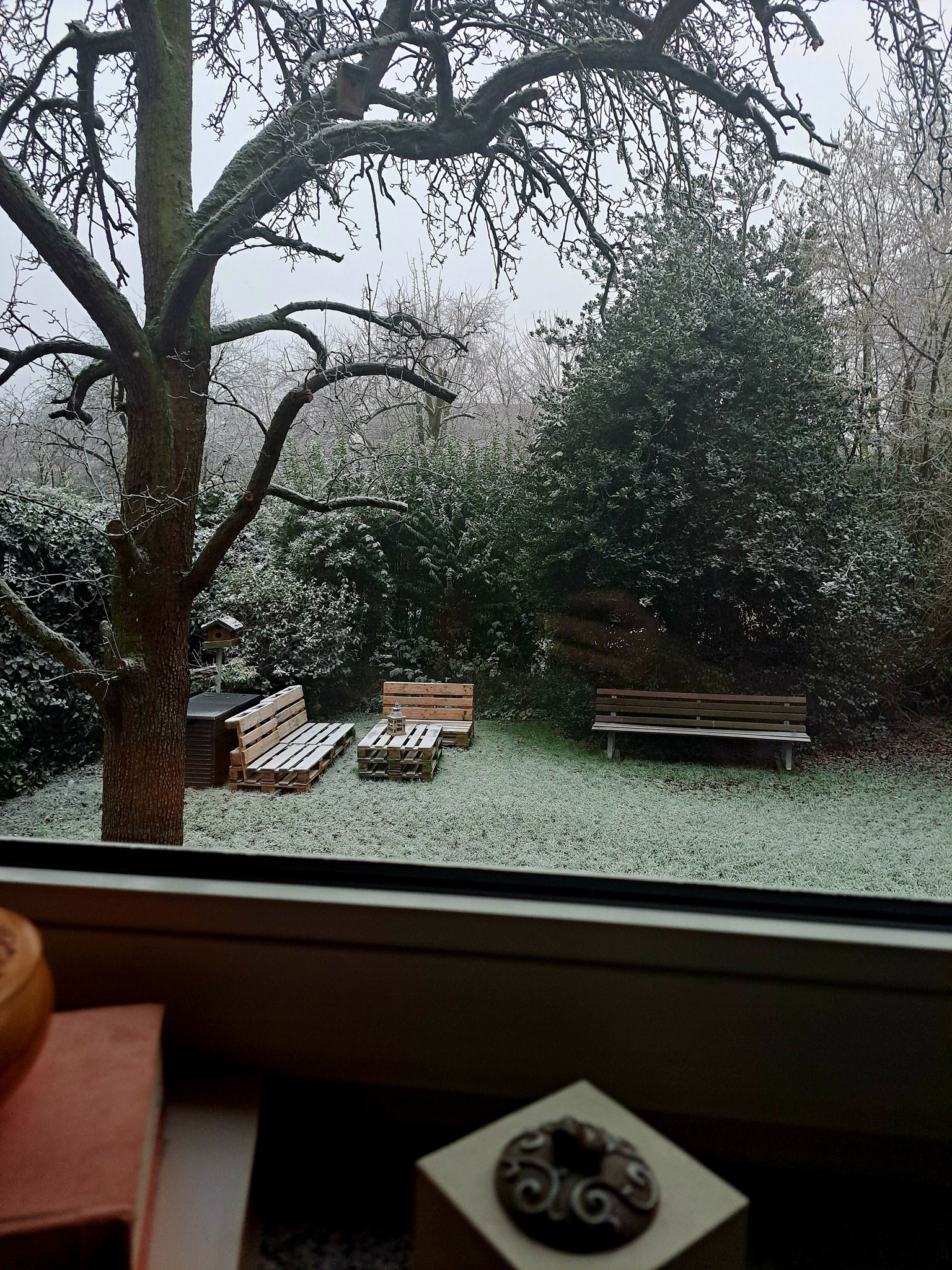 Read more about the article Ein Blick aus dem Fenster